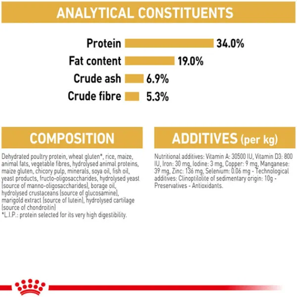 Online Royal Canin - Dry Royal Canin - Ragdoll Breed Adult Cat Dry Food (10kg)