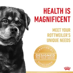 New Royal Canin - Dry Royal Canin - Rottweiler Breed Adult Dog Dry Food (12kg)