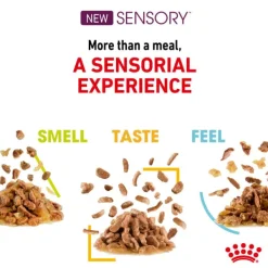 Best Royal Canin - Wet Royal Canin - Sensory Taste Jelly Adult Cat Wet Food (85g x 12pk)