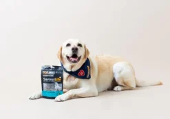 New SavourLife - Treats SavourLife - Australian Salmon Training Treats (150g)