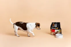 New SavourLife - Foods SavourLife - Essentials Beef Dog Dry Food (3kg)