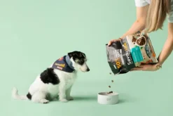 Hot SavourLife - Foods SavourLife - Essentials Ocean Fish Dog Dry Food (15kg)