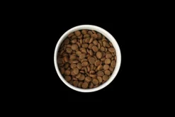 Hot SavourLife - Foods SavourLife - Essentials Ocean Fish Dog Dry Food (15kg)