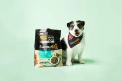 Hot SavourLife - Foods SavourLife - Essentials Ocean Fish Dog Dry Food (15kg)