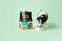 Hot SavourLife - Foods SavourLife - Essentials Ocean Fish Dog Dry Food (15kg)