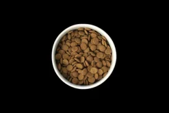Hot SavourLife - Foods SavourLife - Grain Free Turkey CarePlus Lean Dog Dry Food (2.5kg)