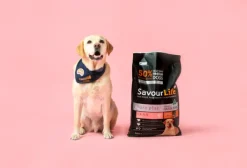 Hot SavourLife - Foods SavourLife - Grain Free Turkey CarePlus Lean Dog Dry Food (2.5kg)