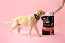 Outlet SavourLife - Foods SavourLife - Grain Free Turkey CarePlus Lean Dog Dry Food (10kg)
