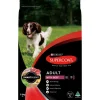 Discount Supercoat - Adult with Beef Dog Dry Food (2.8kg)